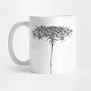 Queen Anne Lace Drawing Mug